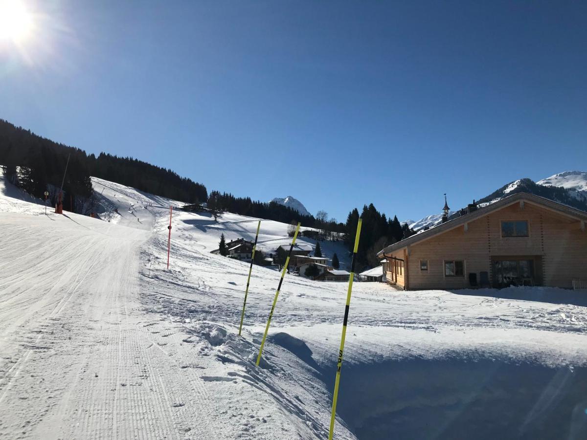 Apartment Schrolln Kirchberg in Tirol